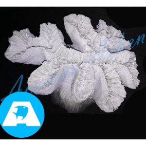 Adorno De Resina Replica De Coral Blanco Kings Aiken Acuario - Lomas De Zamora