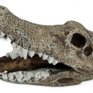 Adorno Mini Cabeza Cocodrilo Kw Dophin Acuario