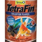 Tetra Fin Goldfish Escamas 28 Gr Agua Fría Carassius Polypte